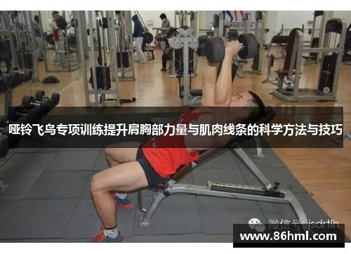 哑铃飞鸟专项训练提升肩胸部力量与肌肉线条的科学方法与技巧