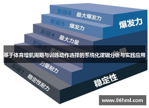 基于体育增肌周期与训练动作选择的系统化逻辑分析与实践应用