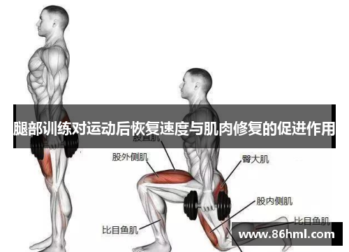 腿部训练对运动后恢复速度与肌肉修复的促进作用